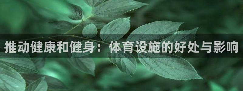 意昂体育3是干嘛的公司：推动健康和健身：体育设施的好