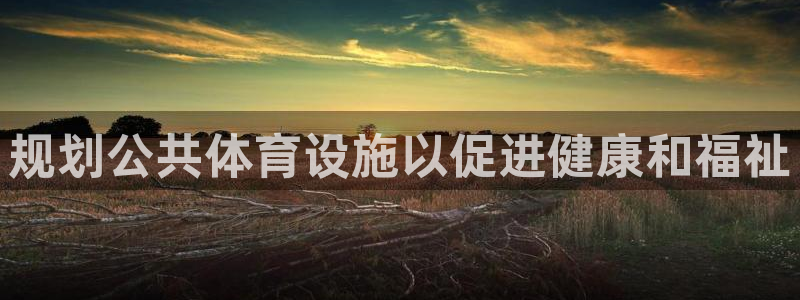 意昂体育3平台：规划公共体育设施以促进健康和福祉