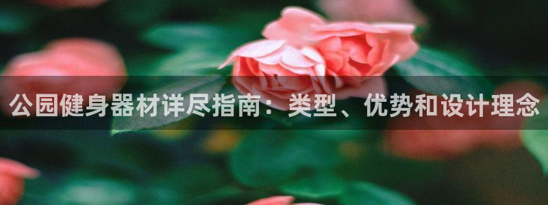 意昂体育3注册：公园健身器材详尽指南：类型、优势和设