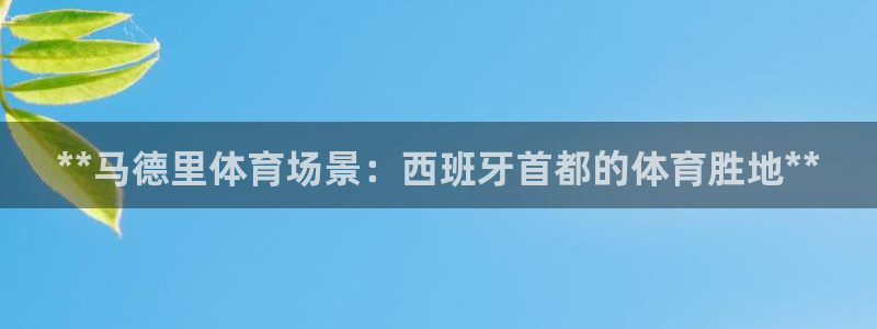 意昂3集团：**马德里体育场景：西班牙首都的体育胜地