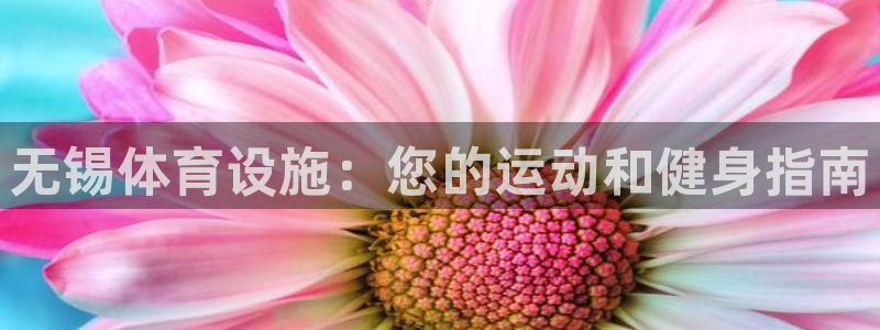 海南意昂体育3：无锡体育设施：您的运动和健身指南