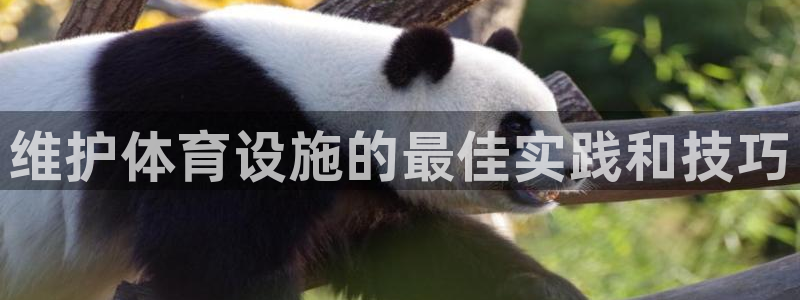 意昂体育3平台假的吗是真的吗：维护体育设施的最佳实践