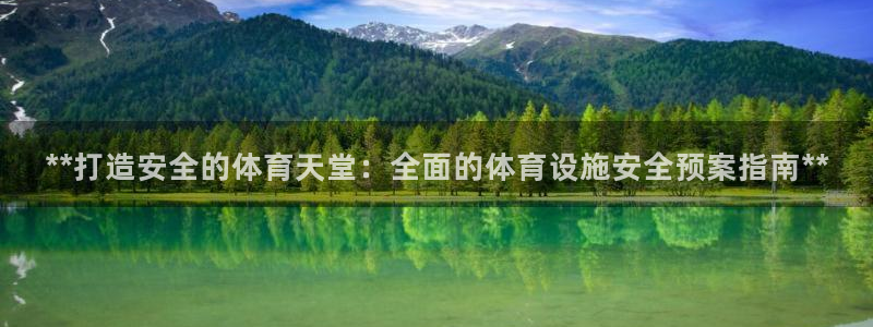 意昂体育3是干嘛的公司：**打造安全的体育天堂：全面