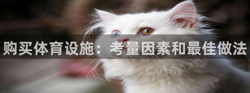 意昂3娱乐下载：购买体育设施：考量因素和最佳做法