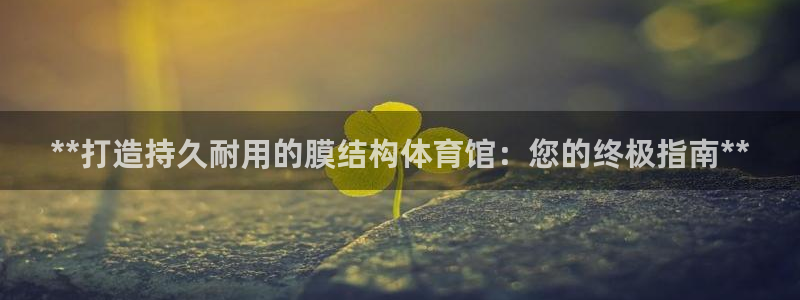 意昂体育3招商：**打造持久耐用的膜结构体育馆：您的