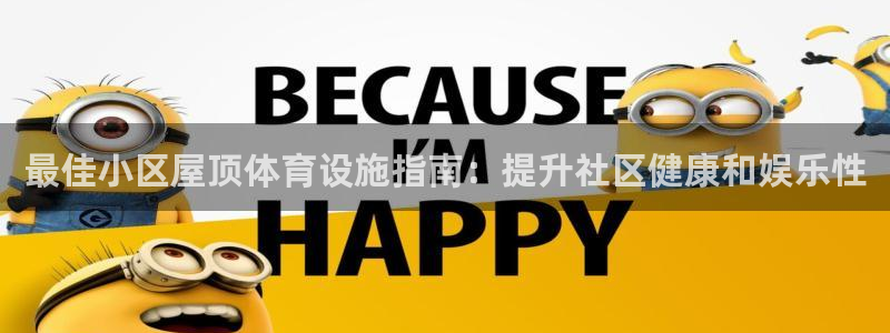 意昂体育3注册：最佳小区屋顶体育设施指南：提升社区健