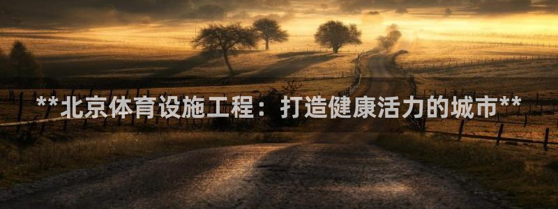 意昂体育3：**北京体育设施工程：打造健康活力的城市