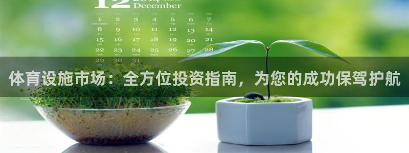 意昂体育3平台注册要钱吗：体育设施市场：全方位投资指