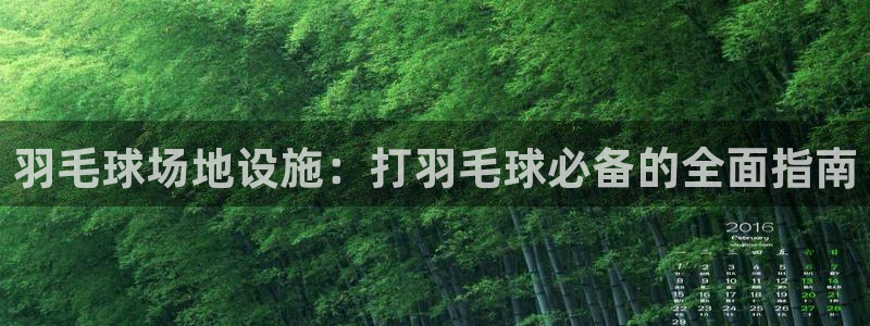 意昂体育3开户：羽毛球场地设施：打羽毛球必备的全面指