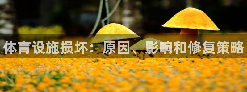 意昂体育3招商电话地址：体育设施损坏：原因、影响和修