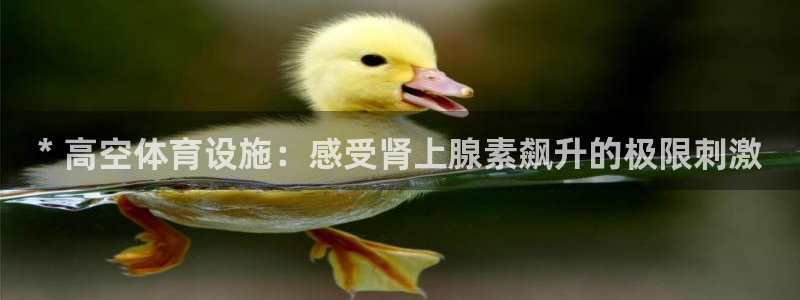 意昂体育3平台假的吗是真的吗吗：* 高空体育设施：感
