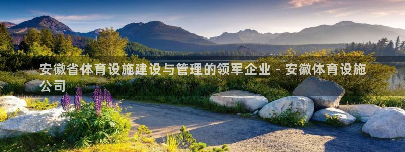 意昂体育3招商：安徽省体育设施建设与管理的领军企业 