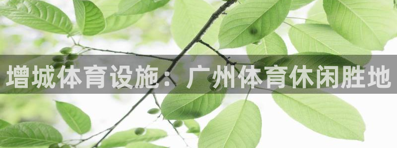 意昂体育3招商电话号码是多少啊：增城体育设施：广州体