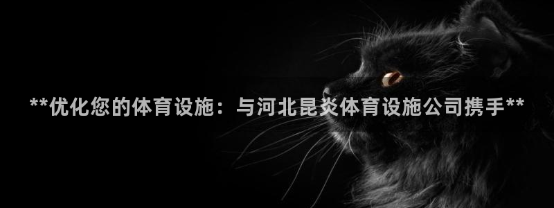 意昂3集团官网首页：**优化您的体育设施：与河北昆炎