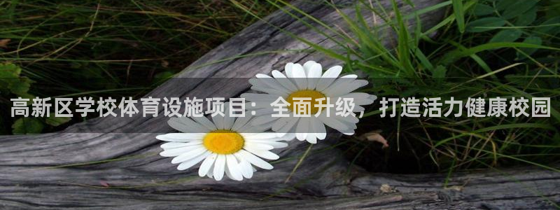 意昂体育3招商电话号码是多少号：高新区学校体育设施项