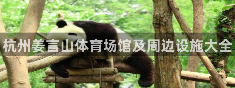 意昂体育3招商电话号码查询是多少：杭州姜言山体育场馆