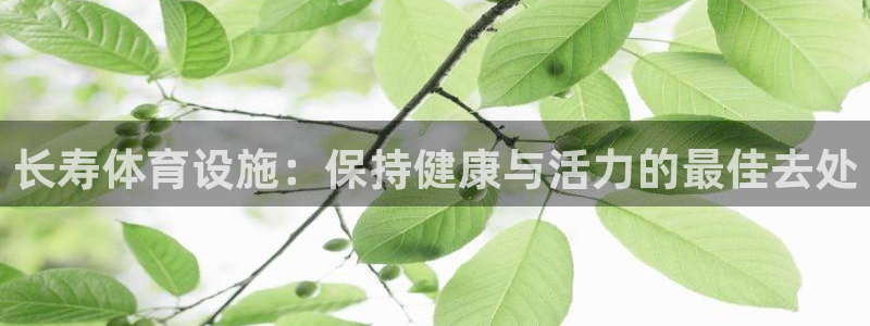 意昂3开户：长寿体育设施：保持健康与活力的最佳去处
