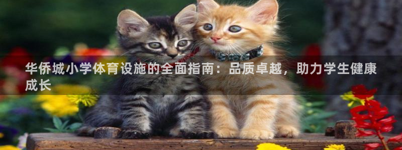 意昂体育3招商电话号码是多少号：华侨城小学体育设施的
