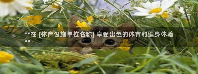 意昂3娱乐是那个系列的台子：**在 [体育设施单位名