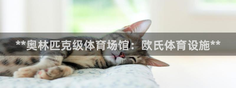 意昂体育3招商：**奥林匹克级体育场馆：欧氏体育设施