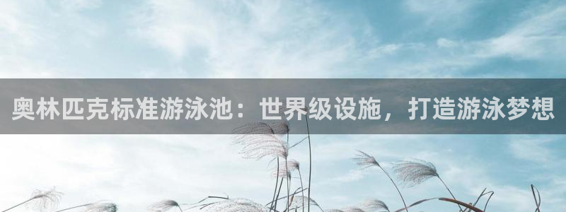 意昂体育3招商电话：奥林匹克标准游泳池：世界级设施，