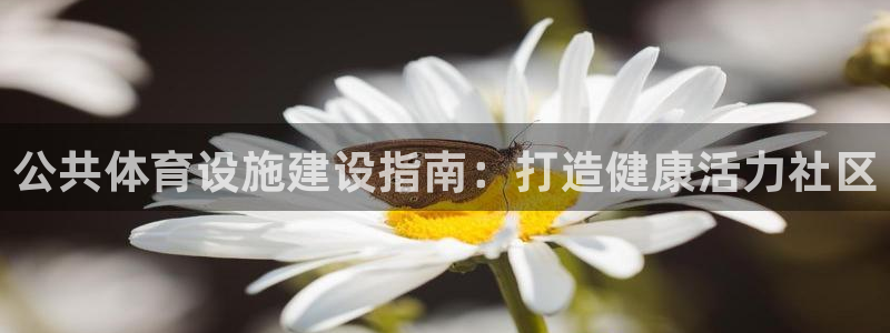 意昂3集团官网网址：公共体育设施建设指南：打造健康活