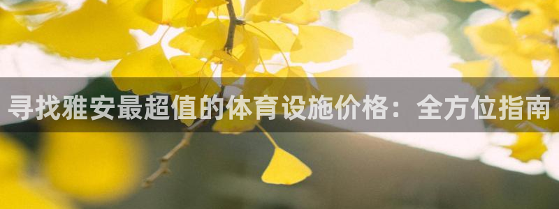 意昂3集团：寻找雅安最超值的体育设施价格：全方位指南