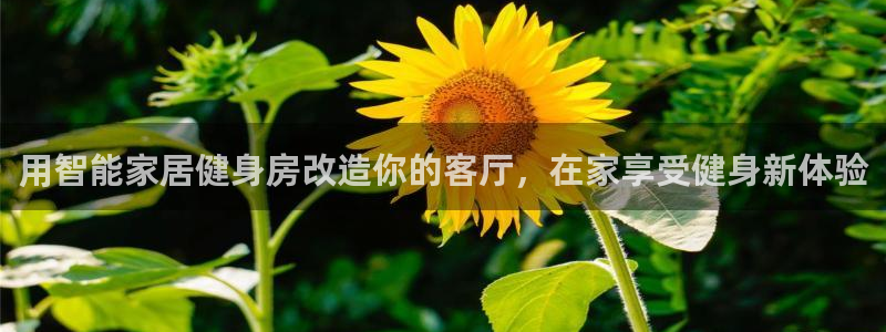 意昂体育3平台注册要钱吗：用智能家居健身房改造你的客