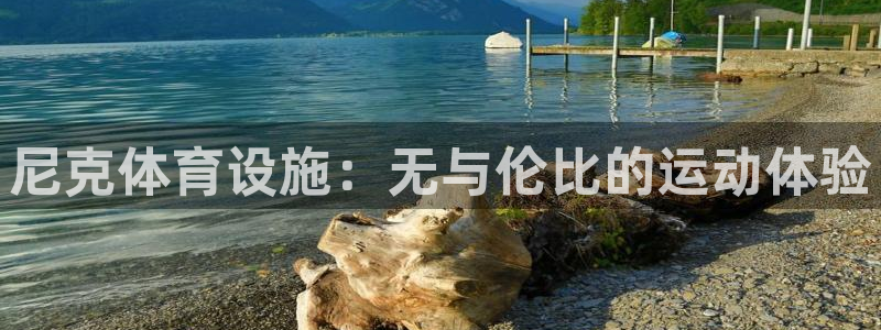 意昂体育3招商电话地址