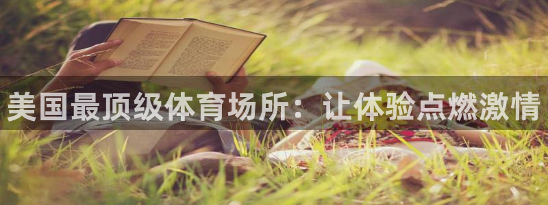 意昂体育3是干嘛的公司：美国最顶级体育场所：让体验点