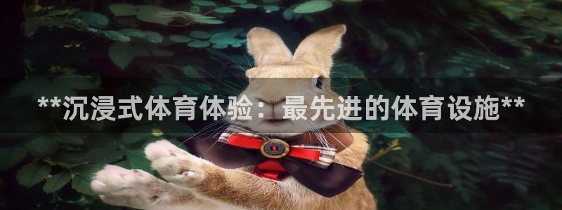 意昂3娱乐首页网站大全：**沉浸式体育体验：最先进的