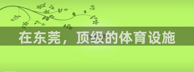 意昂3娱乐：在东莞，顶级的体育设施