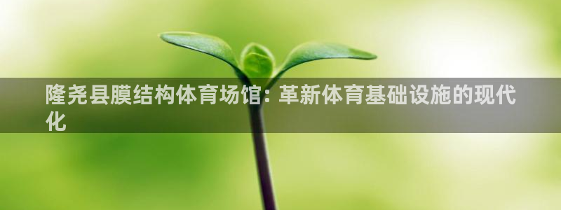 意昂体育3平台APP：隆尧县膜结构体育场馆: 革新体