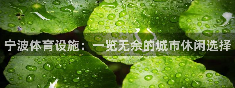意昂3娱乐：宁波体育设施：一览无余的城市休闲选择