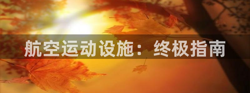 意昂体育3平台注册要钱吗安全吗：航空运动设施：终极指南