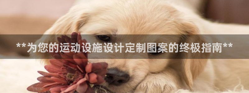 意昂体育3招商电话是多少啊