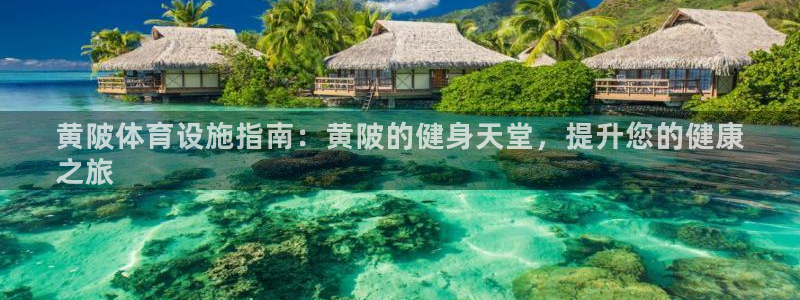 意昂体育3：黄陂体育设施指南：黄陂的健身天堂，提升您