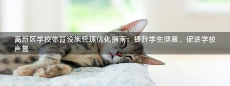 意昂体育3平台：高新区学校体育设施管理优化指南：提升