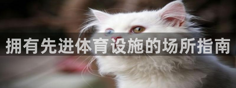 意昂3集团logo：拥有先进体育设施的场所指南