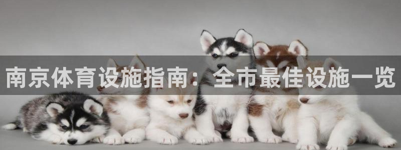 意昂体育3招商电话号码查询是多少：南京体育设施指南：