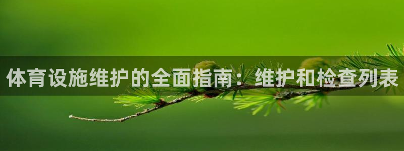 意昂3新能源：体育设施维护的全面指南：维护和检查列表