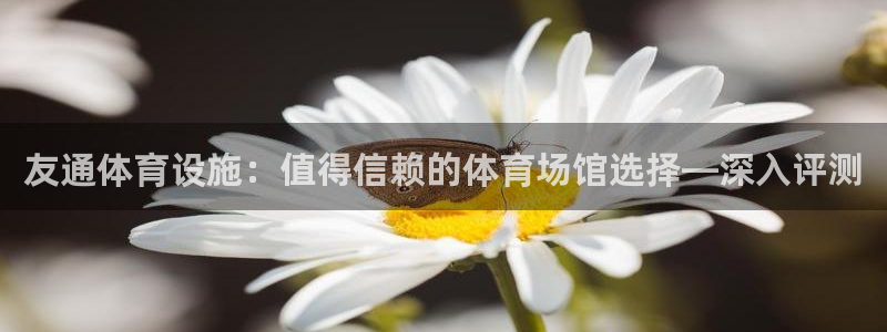 意昂体育3平台APP：友通体育设施：值得信赖的体育场