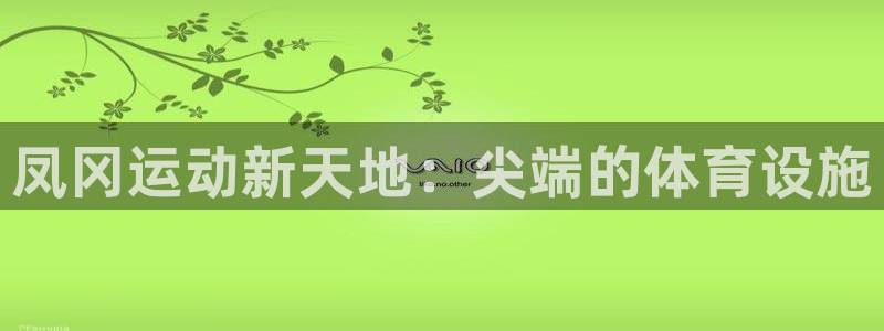 意昂3集团logo：凤冈运动新天地：尖端的体育设施