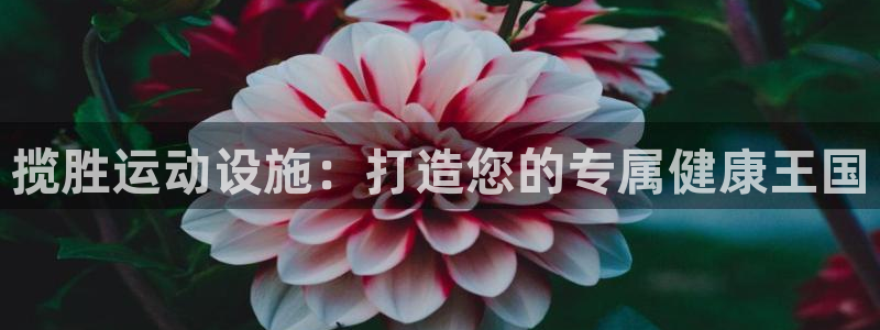 意昂3娱乐：揽胜运动设施：打造您的专属健康王国