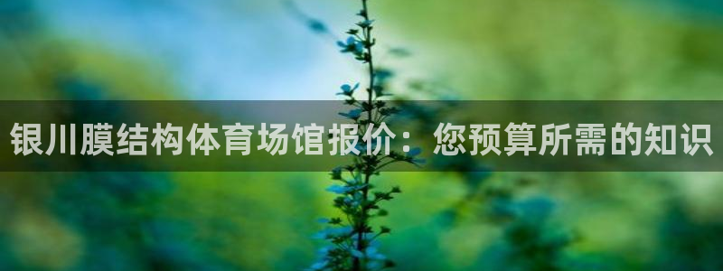 意昂体育3招商电话地址查询：银川膜结构体育场馆报价：