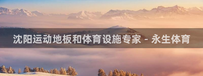 海南意昂体育3发展怎么样：沈阳运动地板和体育设施专家