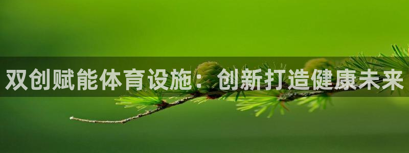 意昂3娱乐首页官网下载：双创赋能体育设施：创新打造健康未来