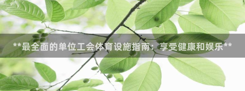 意昂3娱乐：**最全面的单位工会体育设施指南：享受健