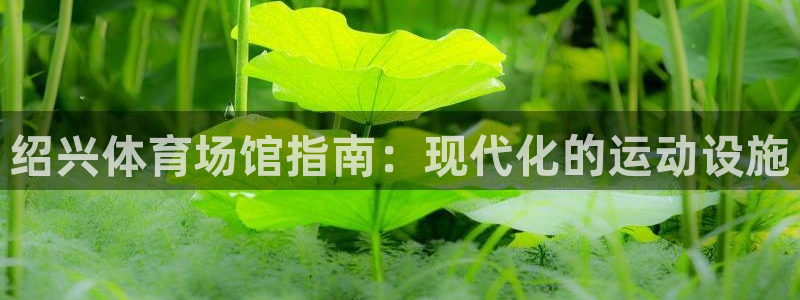 意昂体育3开户：绍兴体育场馆指南：现代化的运动设施