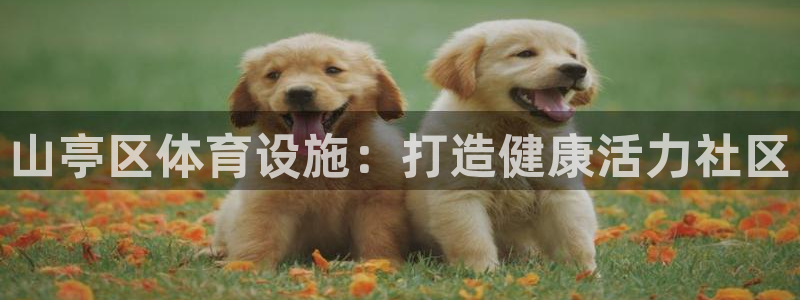 意昂3集团官网首页网址：山亭区体育设施：打造健康活力
